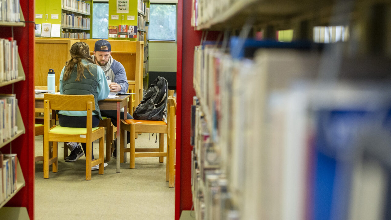 Students study in the library